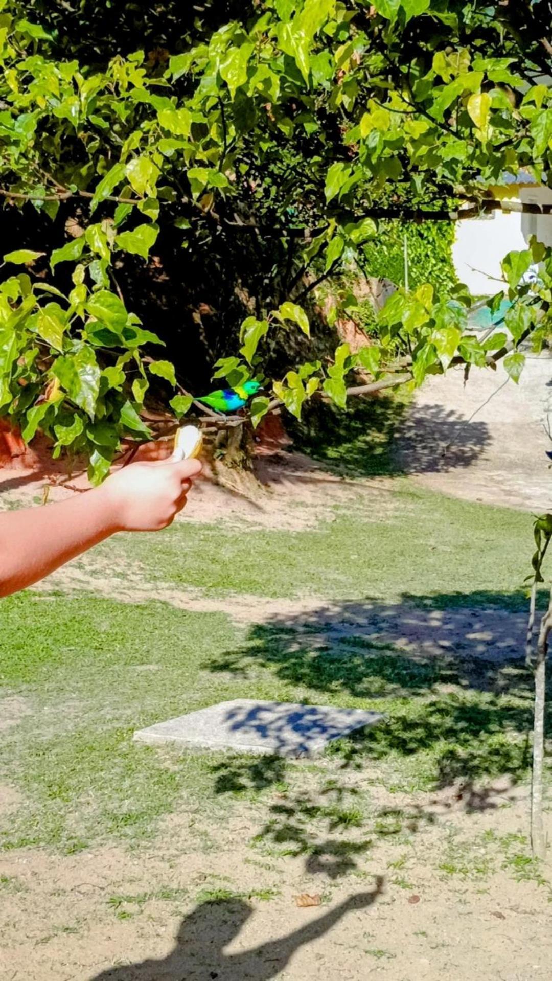 Pousada Casa Da Montanha Sana Bagian luar foto