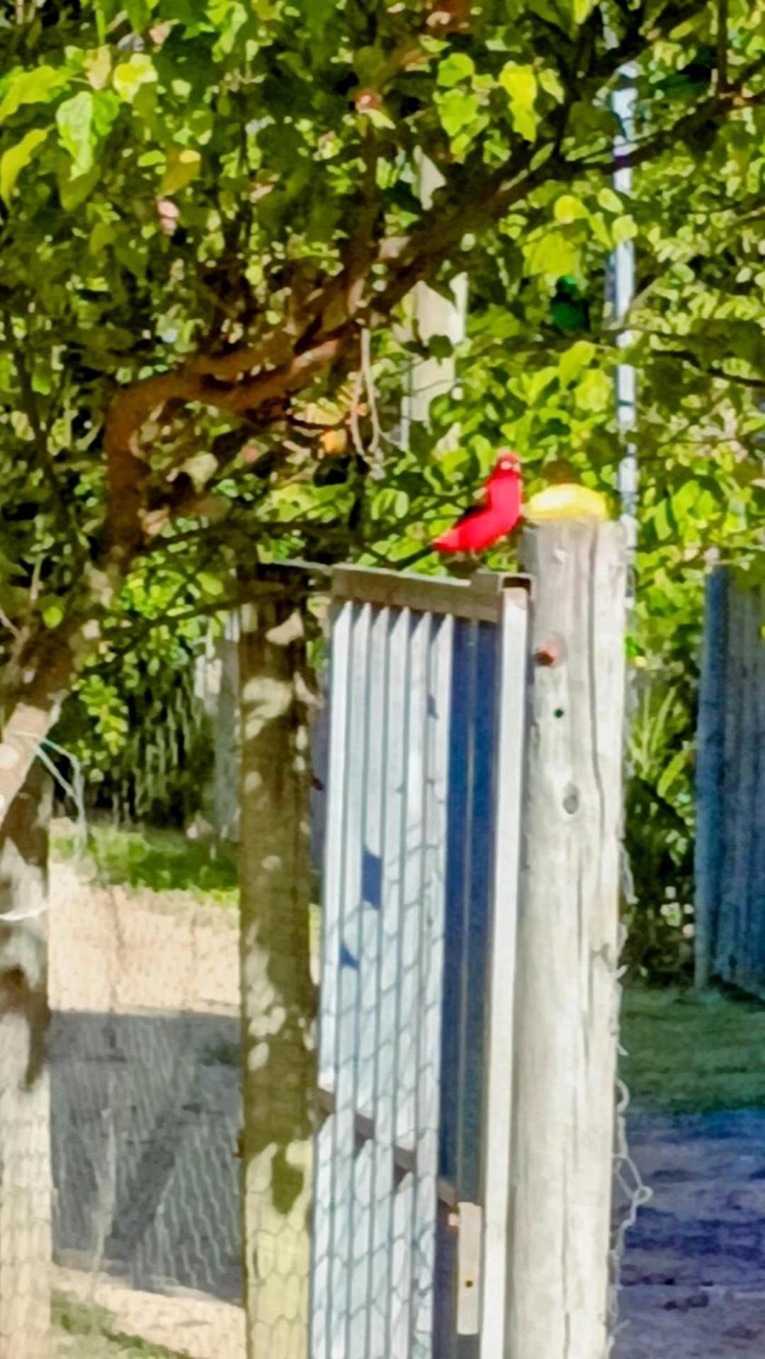 Pousada Casa Da Montanha Sana Bagian luar foto